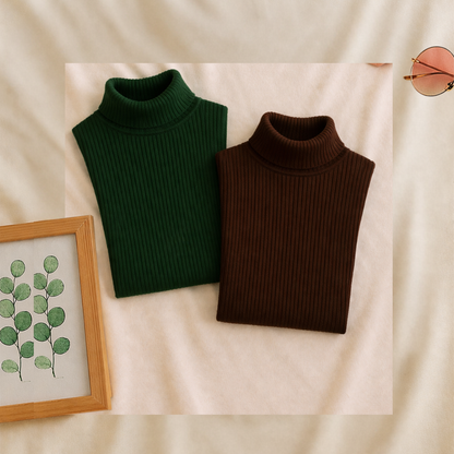 Pack of 2 High Neck   – Turtleneck & Mock Neck Winter